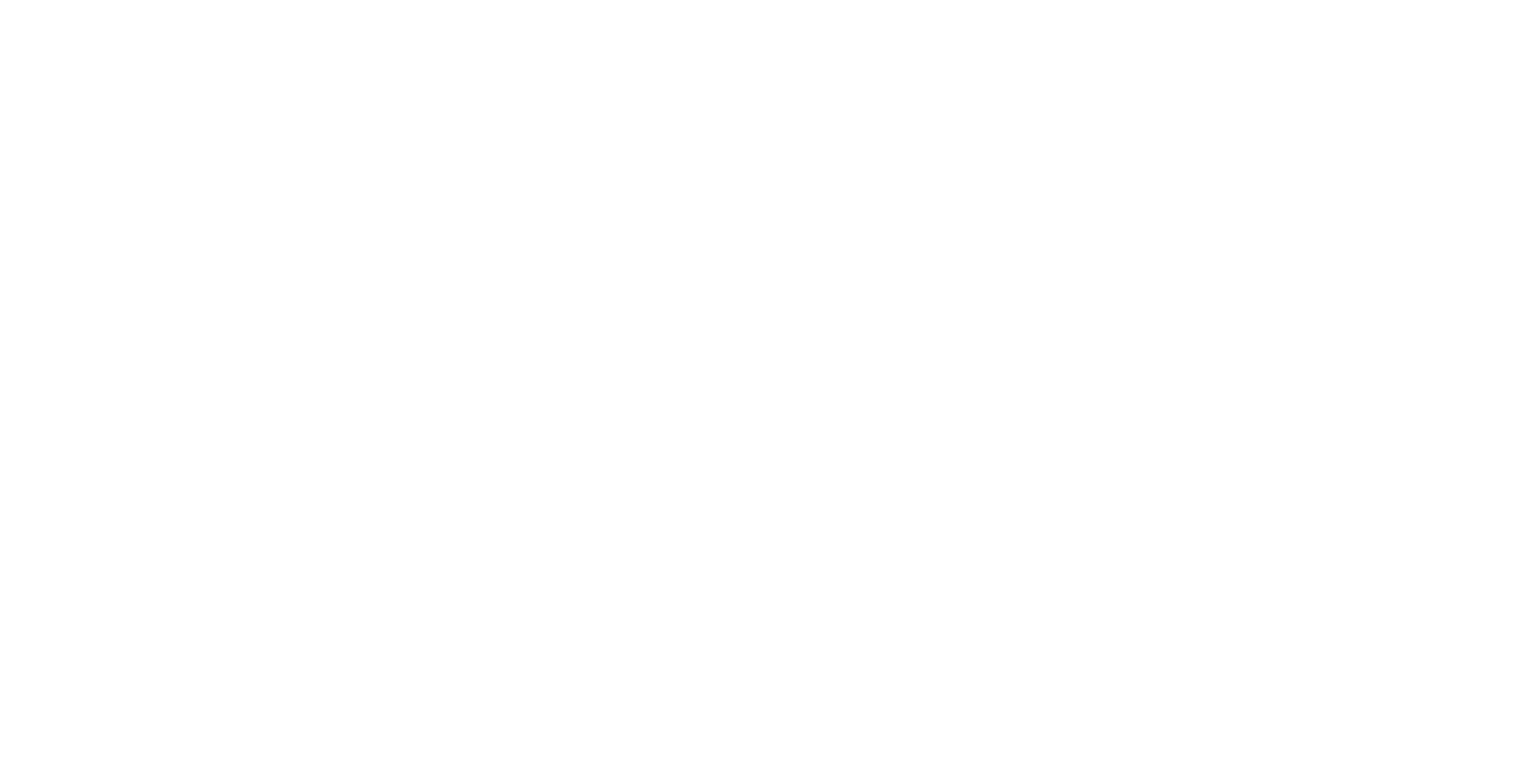 ADIEEN Logo